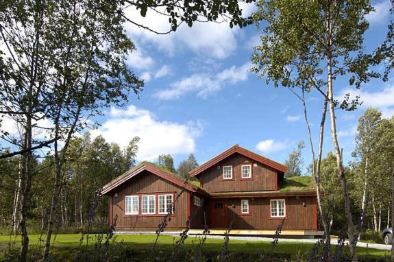 Mugnablikk Villa Beitostolen ภายนอก รูปภาพ